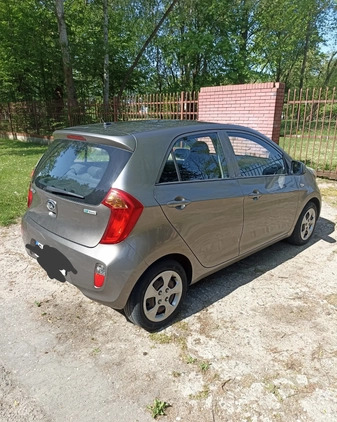 Kia Picanto cena 19900 przebieg: 74900, rok produkcji 2013 z Białystok małe 67